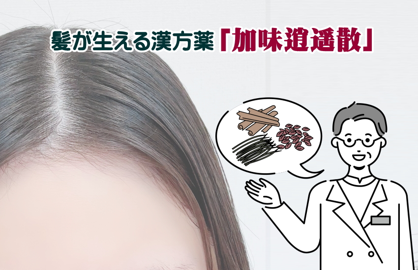 髪が生える漢方薬　加味逍遥散