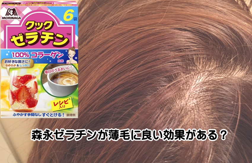 森永 ゼラチン 薄毛