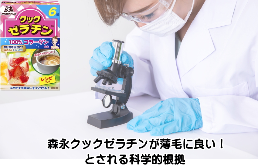 森永 ゼラチン 薄毛